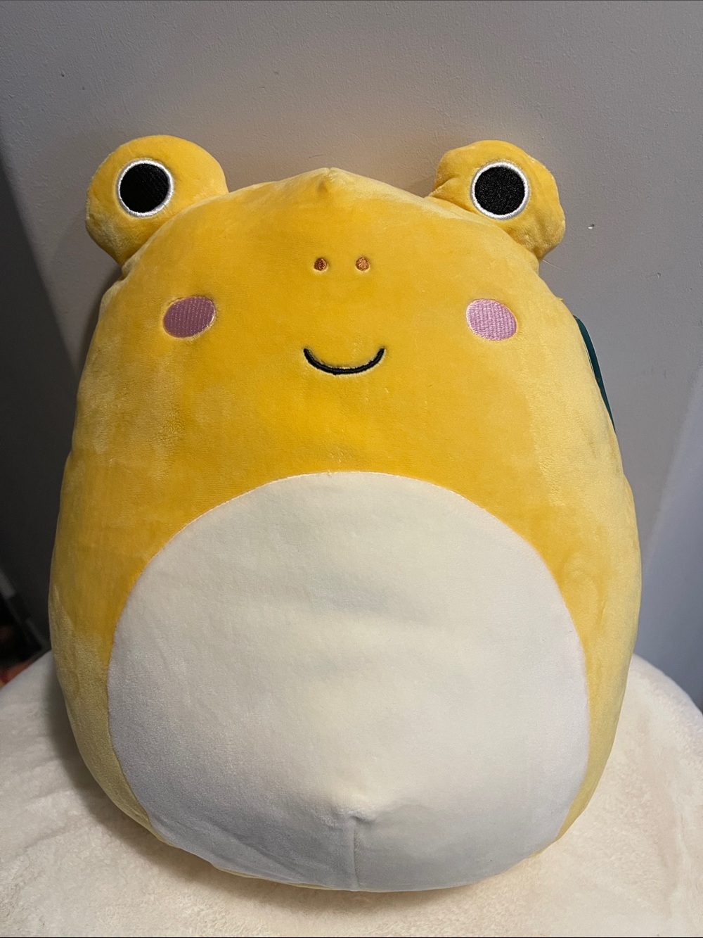 Squishmallows Leigh the Frog 12”